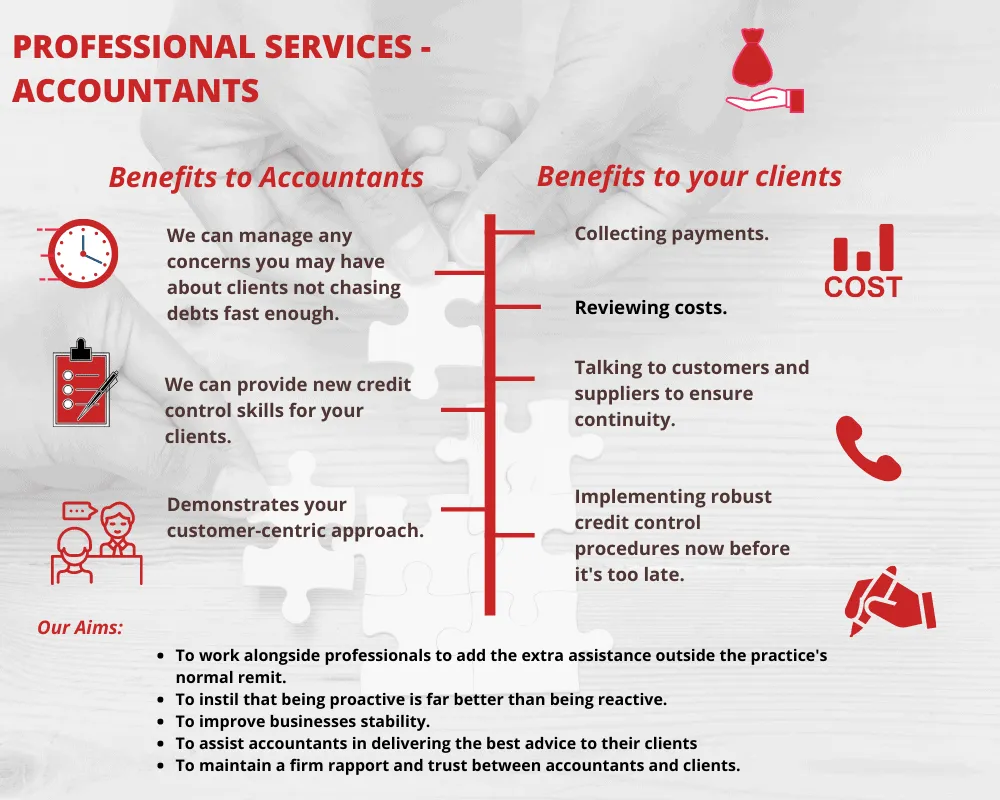 Credit Management Consulting