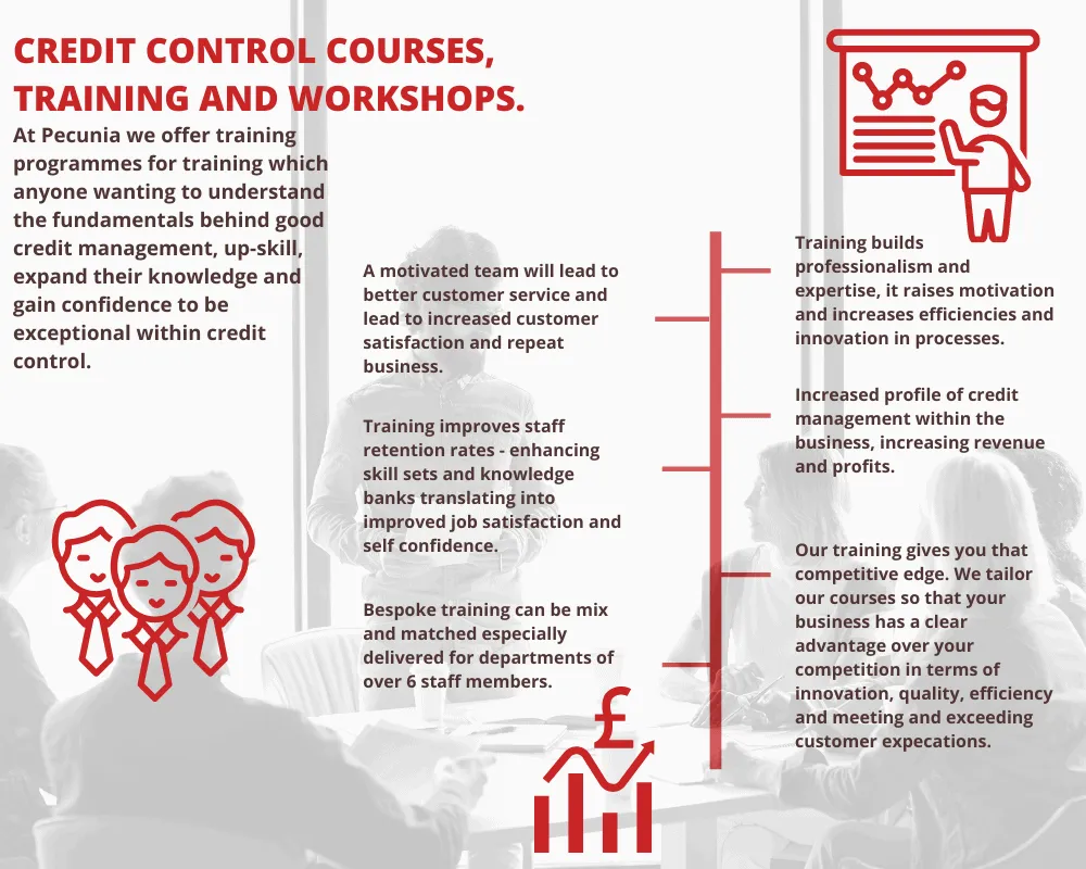 Credit Management Consulting